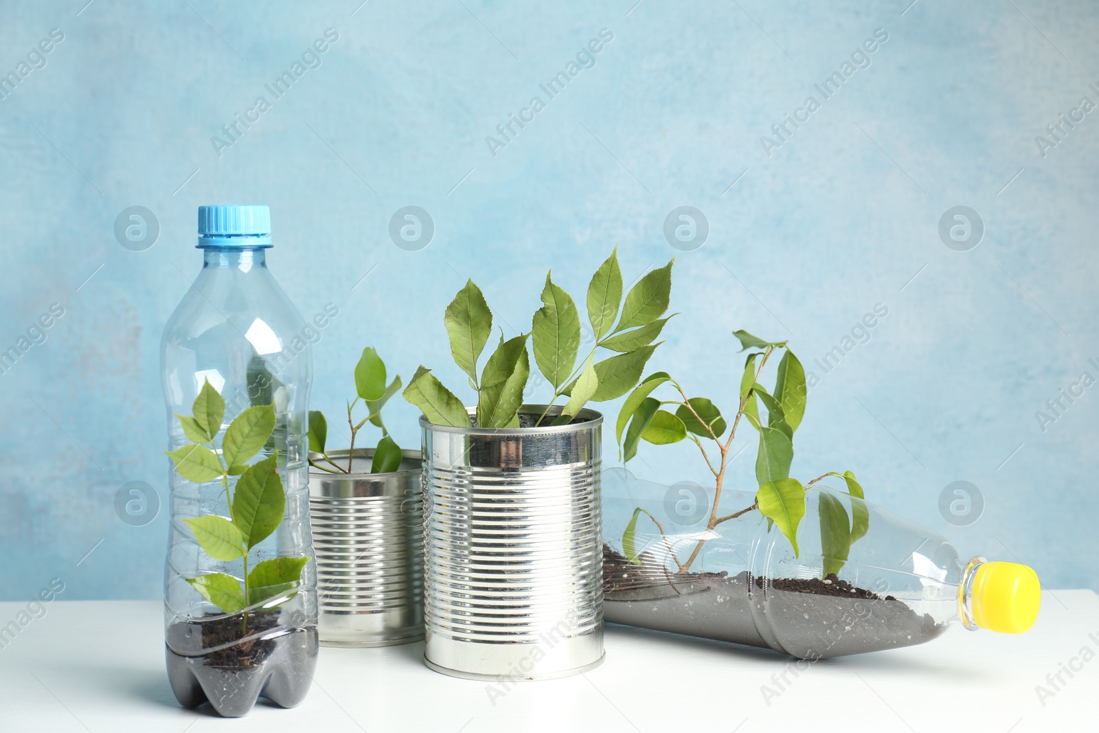 Photo of Recycling concept. Metal cans and plastic bottles with growing plants on white table