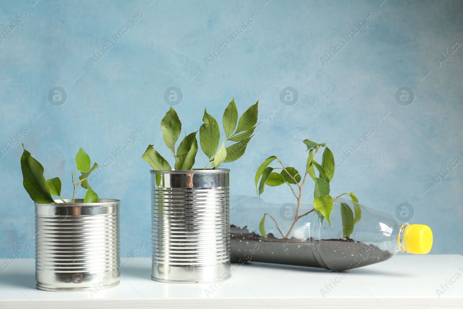 Photo of Recycling concept. Metal cans and plastic bottle with growing plants on white table