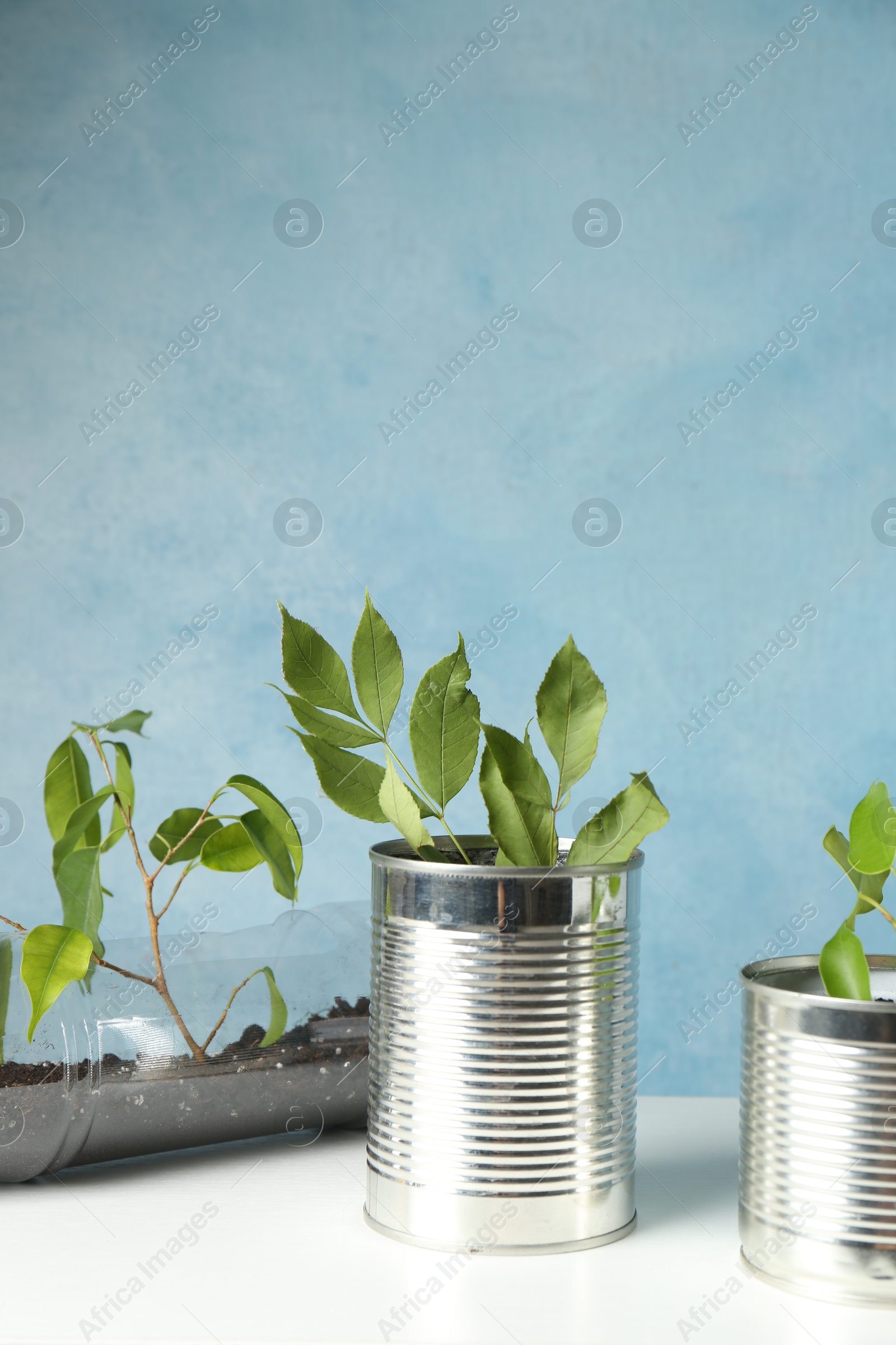 Photo of Recycling concept. Metal cans and plastic bottle with growing plants on white table