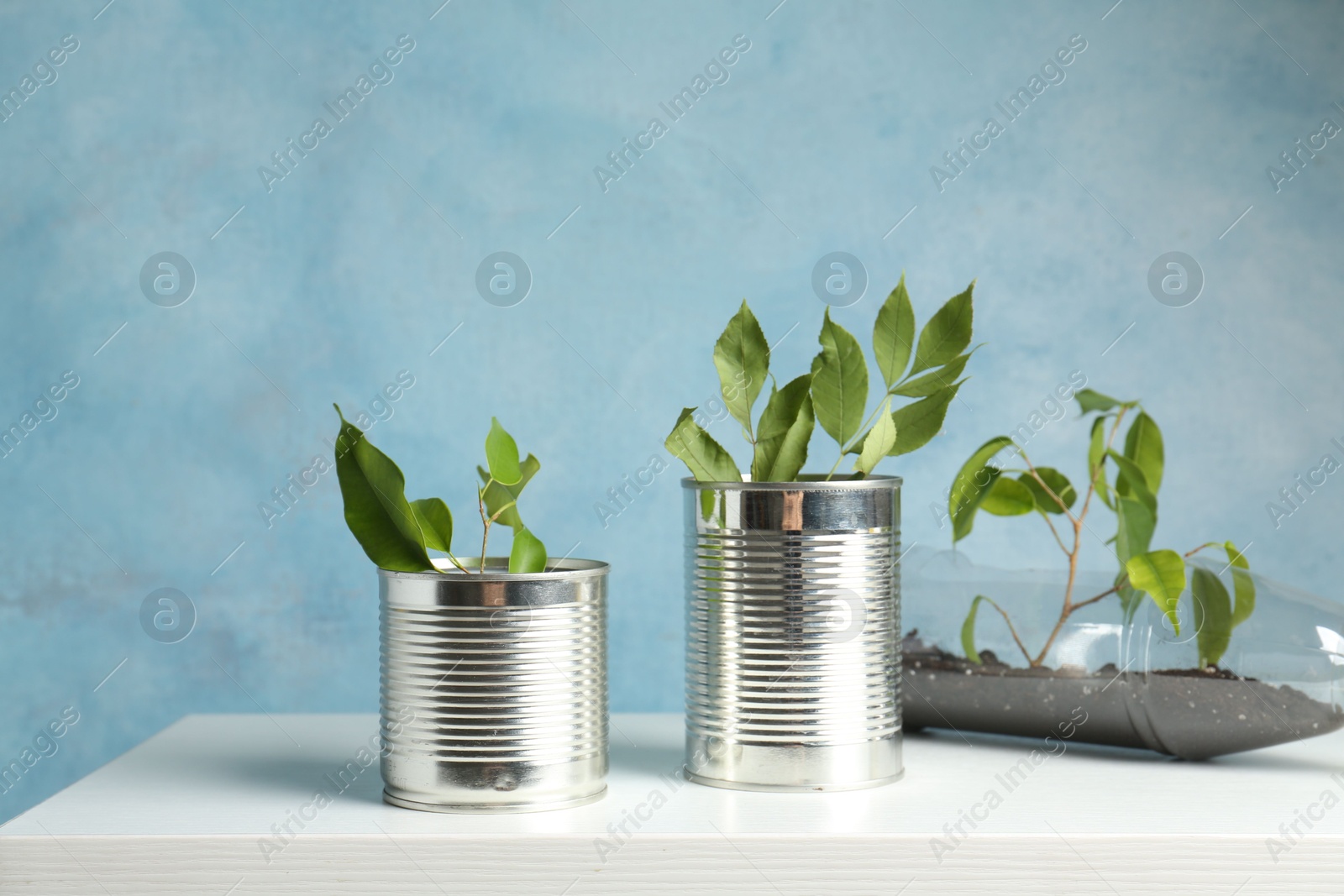 Photo of Recycling concept. Metal cans and plastic bottle with growing plants on white table