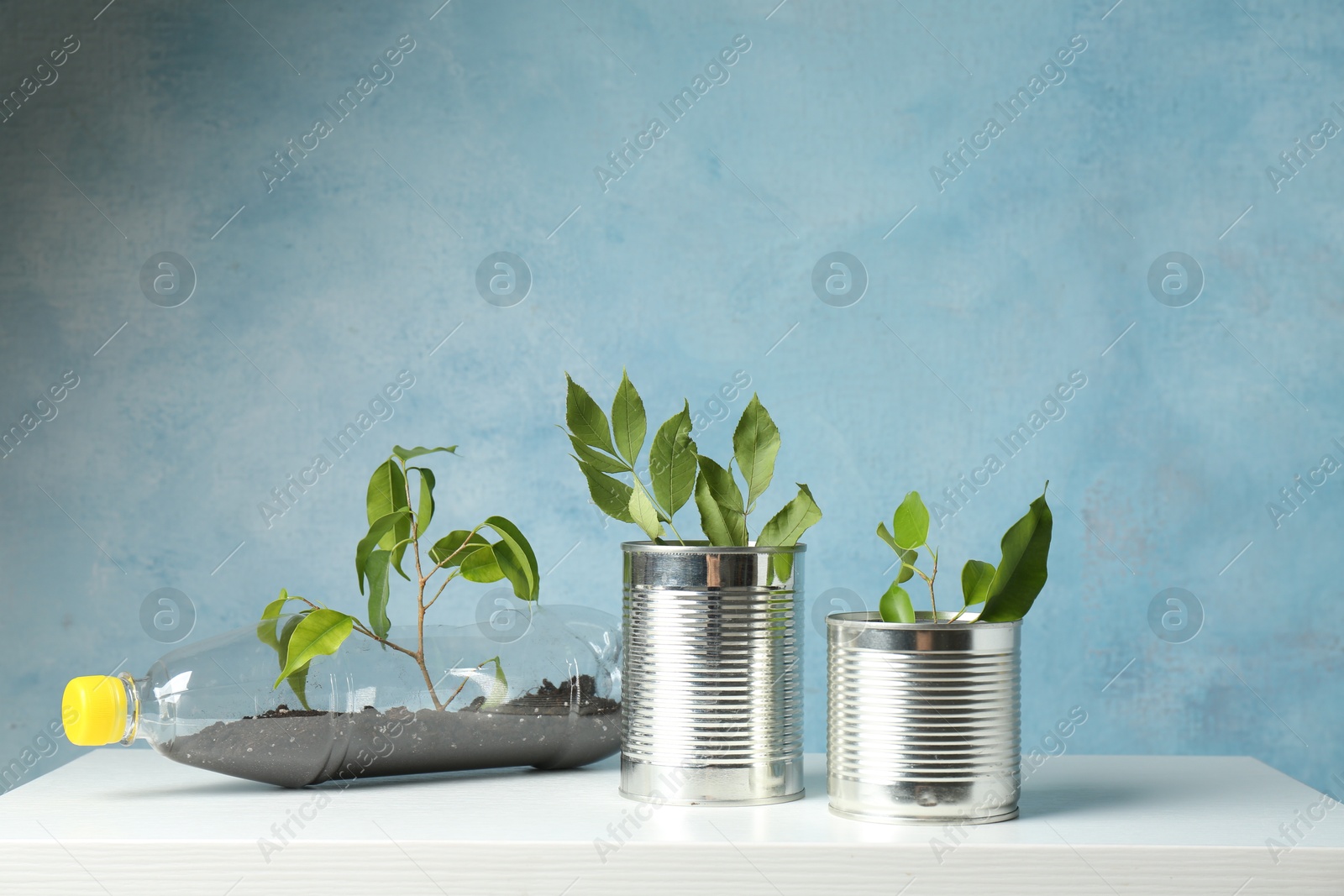 Photo of Recycling concept. Metal cans and plastic bottle with growing plants on white table