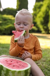 Cute little baby eating juicy watermelon on green grass outdoors