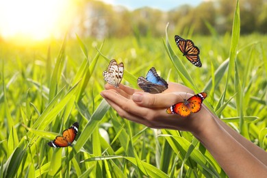 Image of Woman holding beautiful butterflies in meadow on sunny day, closeup