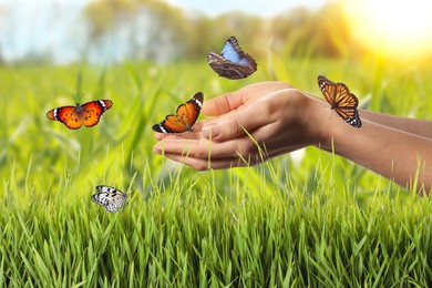 Image of Woman holding beautiful butterflies in meadow on sunny day, closeup