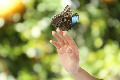 Woman holding beautiful butterfly against blurred background, closeup