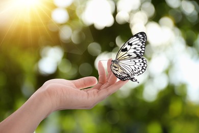 Image of Woman holding beautiful butterfly against blurred background, closeup