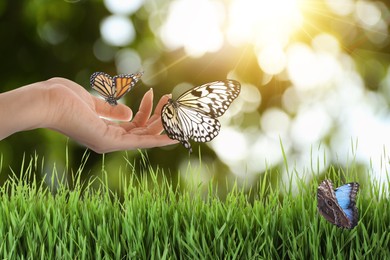 Image of Woman holding beautiful butterflies in meadow on sunny day, closeup