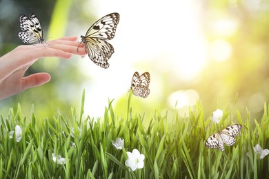 Image of Woman holding beautiful butterflies in meadow on sunny day, closeup