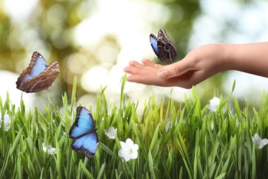 Image of Woman holding beautiful butterfly in meadow on sunny day, closeup