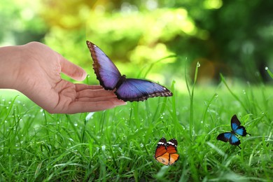 Image of Woman holding beautiful butterflies in meadow, closeup