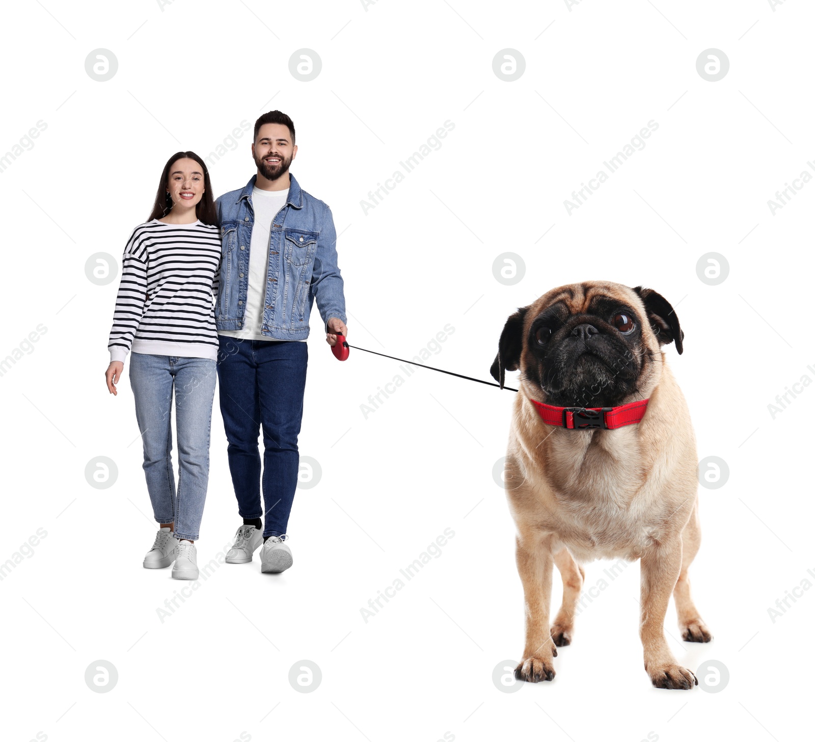 Image of Couple walking their dog on white background