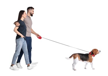 Couple walking their dog on white background