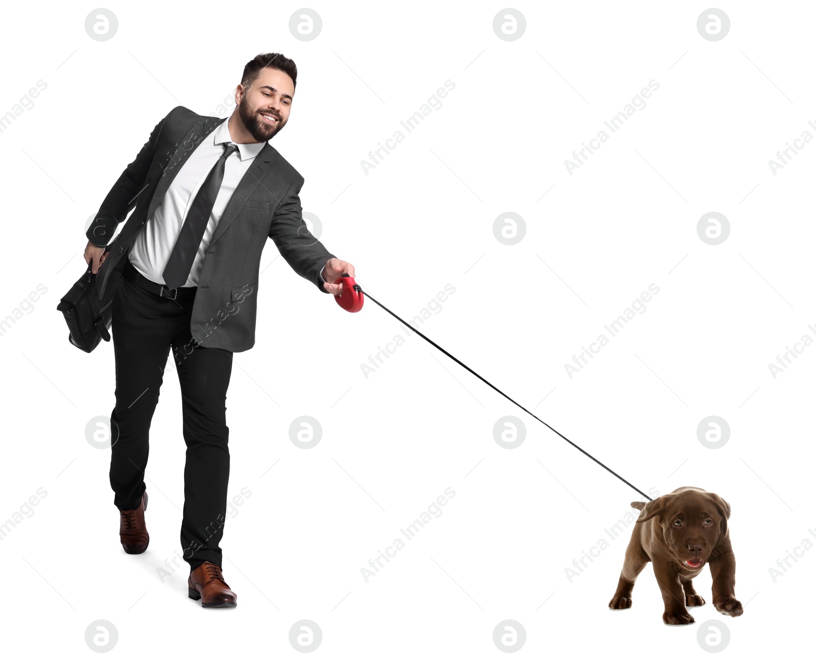 Image of Young man walking his dog on white background