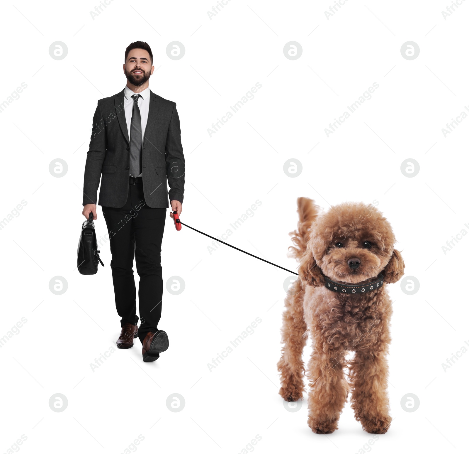 Image of Young man walking his dog on white background