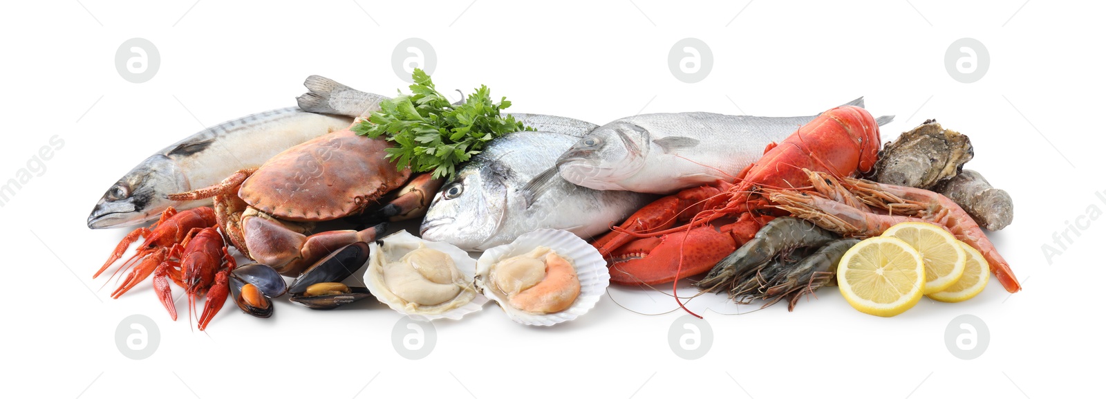 Photo of Many different sea food, parsley and lemon isolated on white