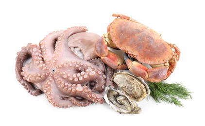 Fresh raw octopus and different sea food isolated on white, top view