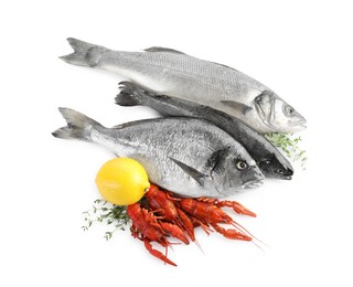 Photo of Sea food with lemon and thyme isolated on white, top view