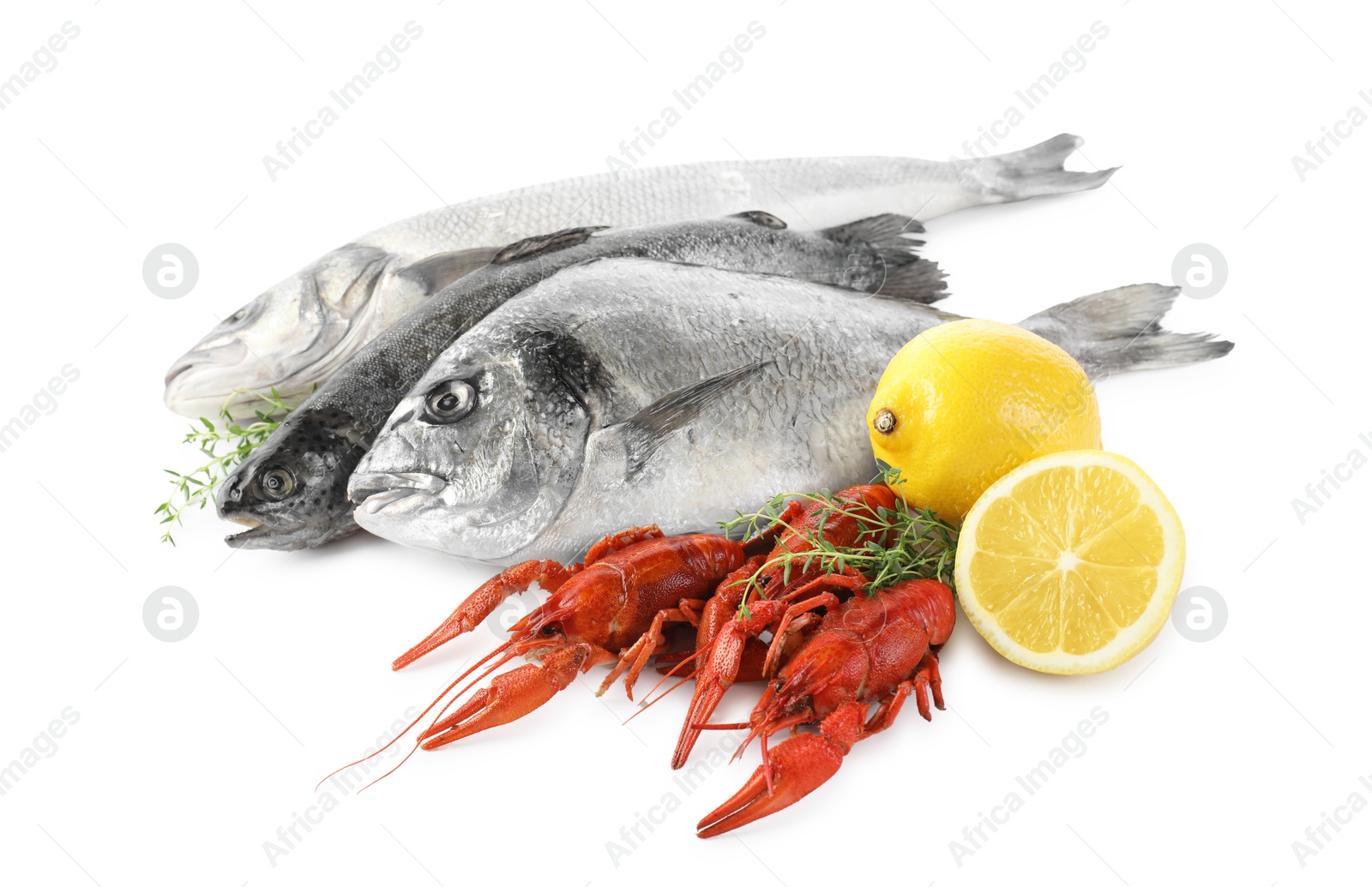 Photo of Sea food with lemon and thyme isolated on white