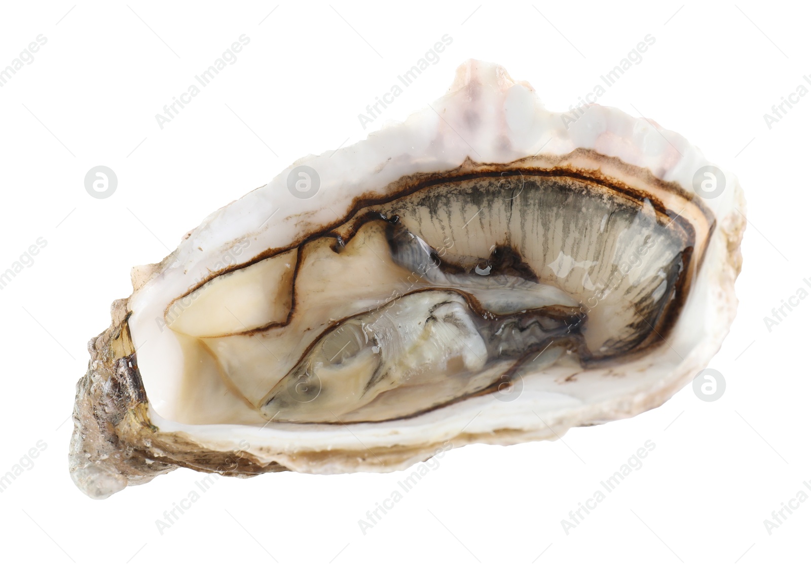 Photo of One raw oyster isolated on white. Sea food