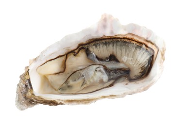 Photo of One raw oyster isolated on white. Sea food