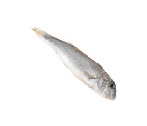 Photo of One raw red mullet fish isolated on white. Sea food