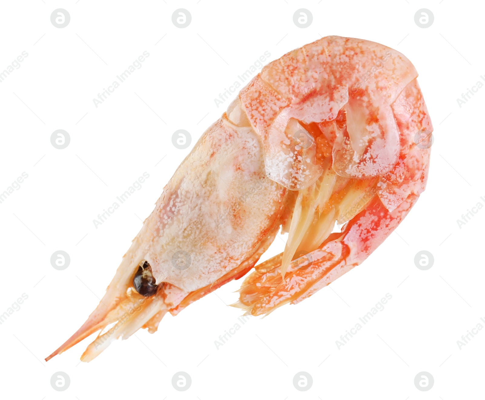 Photo of One raw shrimp isolated on white. Sea food