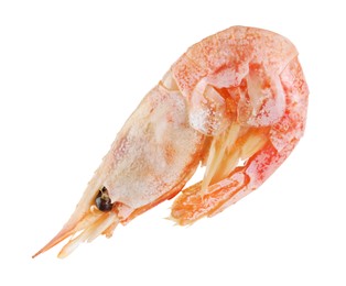 Photo of One raw shrimp isolated on white. Sea food