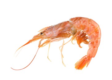 One raw shrimp isolated on white. Sea food