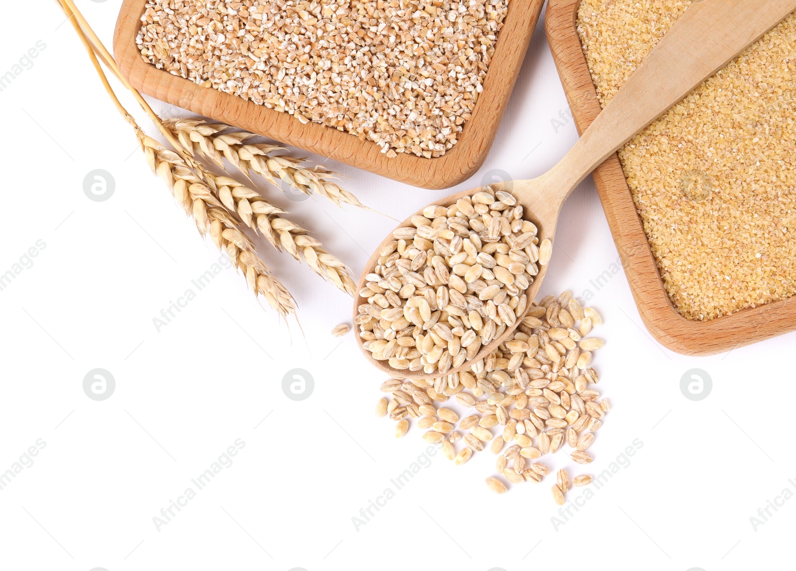 Photo of Different types of cereals and spikelets isolated on white, top view