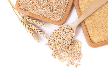 Photo of Different types of cereals and spikelets isolated on white, top view