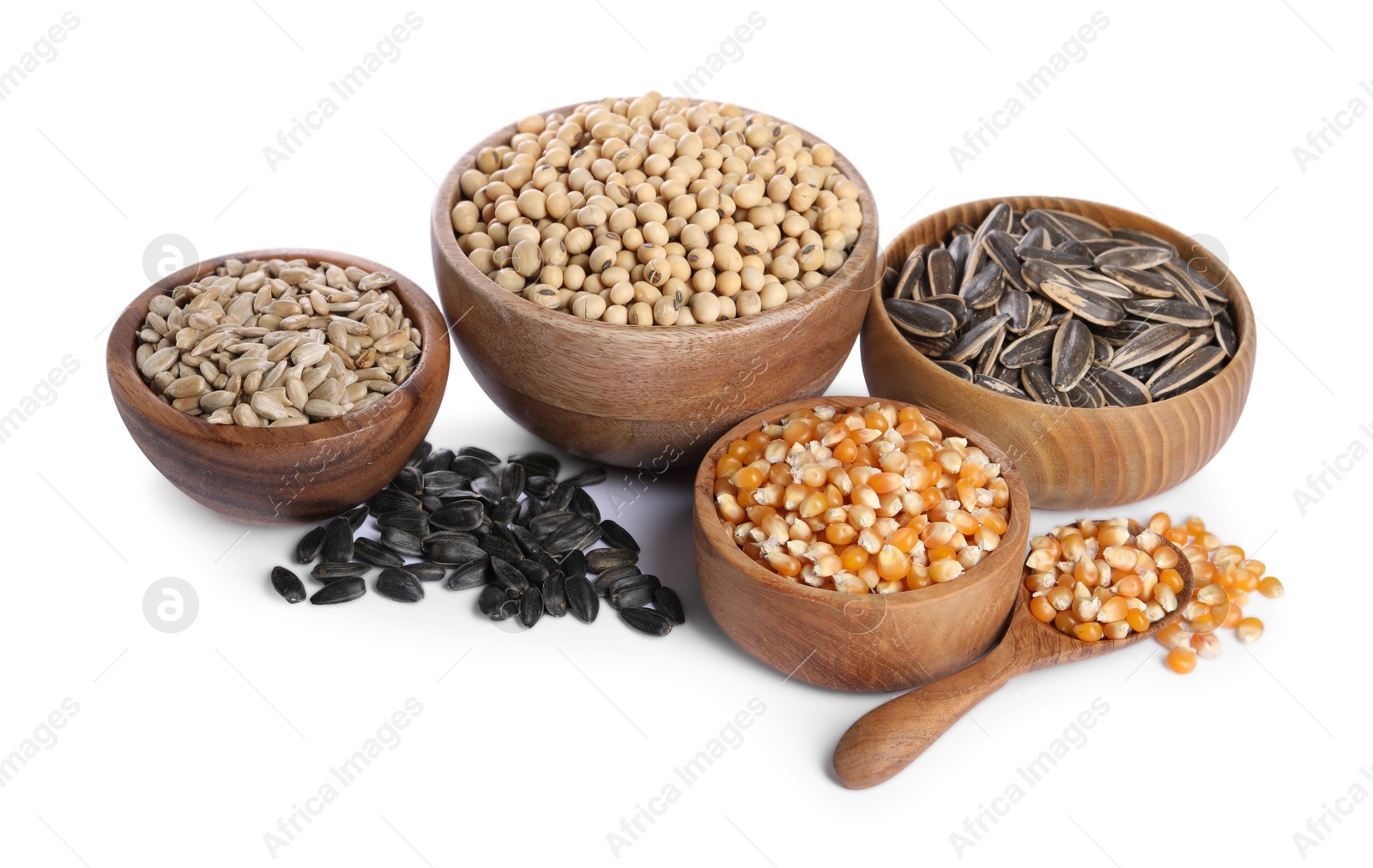 Photo of Different sunflower seeds, soybeans and corn kernels in bowls isolated on white,