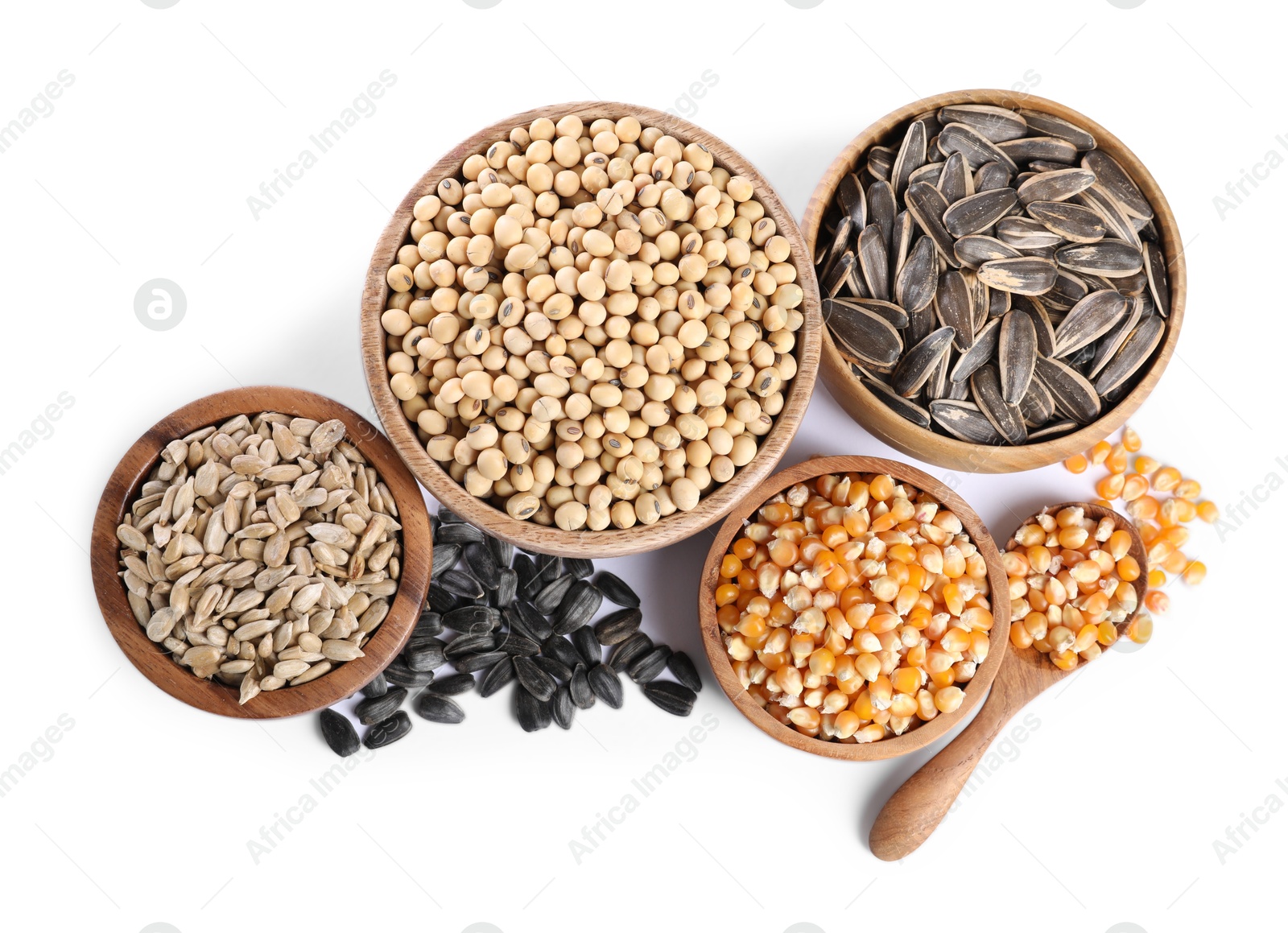 Photo of Different sunflower seeds, soybeans and corn kernels in bowls isolated on white, top view