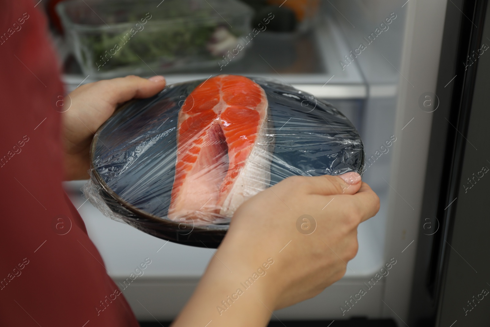 Photo of Woman putting plate of fresh salmon with plastic food wrap into refrigerator, closeup