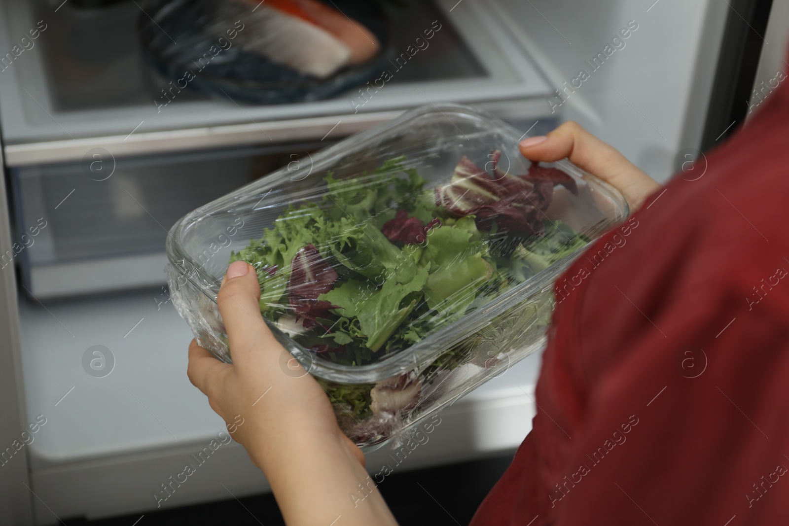 Photo of Woman putting glass container of fresh salad with plastic food wrap into refrigerator, closeup