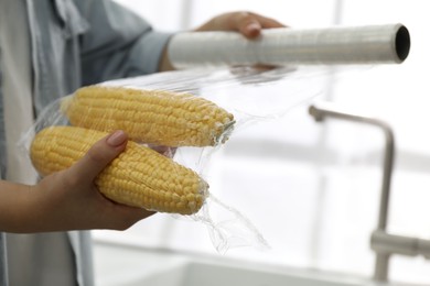 Woman putting plastic food wrap over corncobs in kitchen, closeup