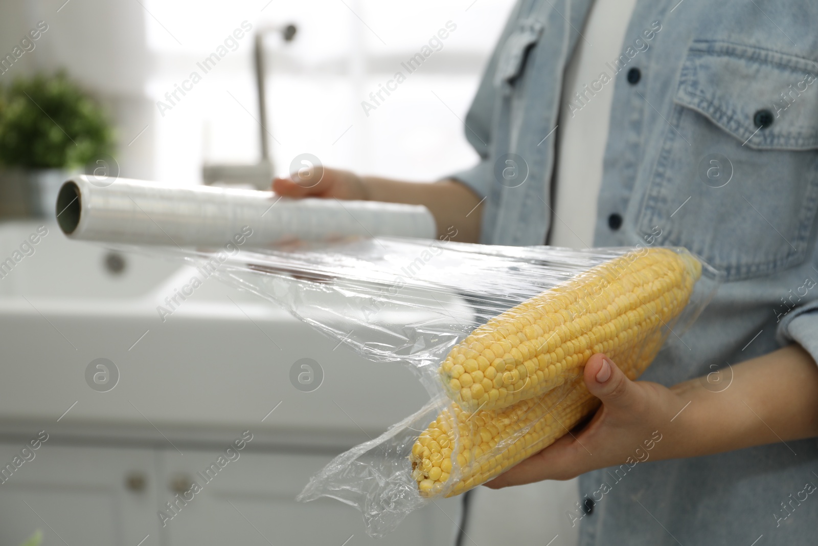 Photo of Woman putting plastic food wrap over corncobs in kitchen, closeup