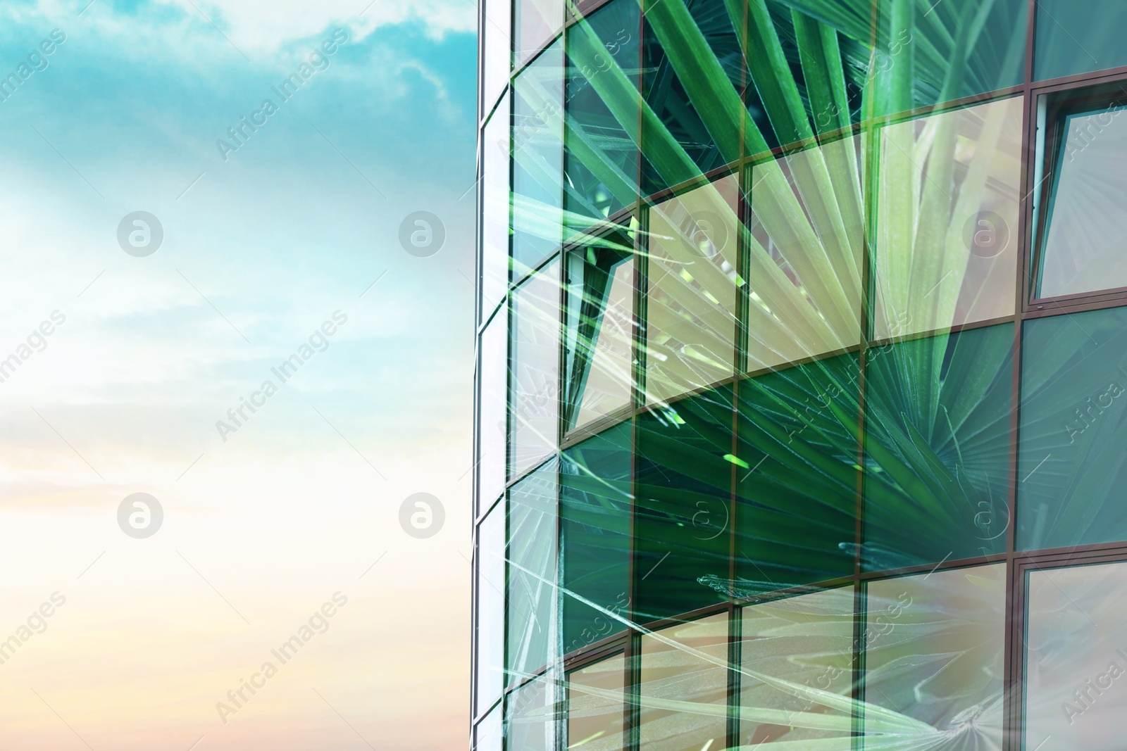 Image of Environment preservation. Modern building and green tropical leaves against blue sky, double exposure