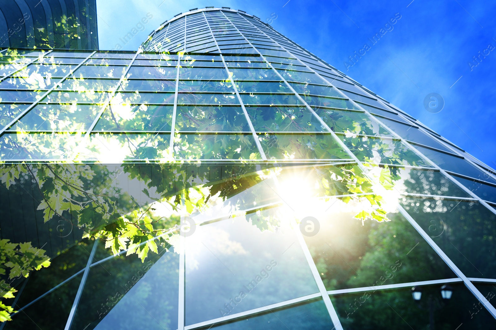 Image of Environment preservation. Double exposure of modern building and tree against blue sky, low angle view