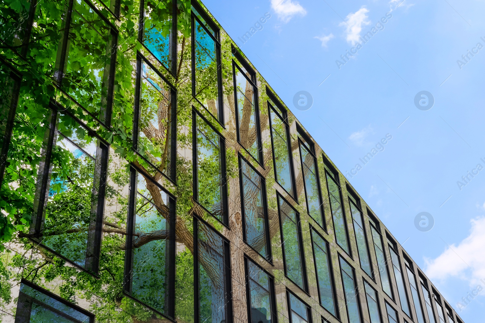 Image of Environment preservation. Double exposure of modern building and tree against blue sky, low angle view