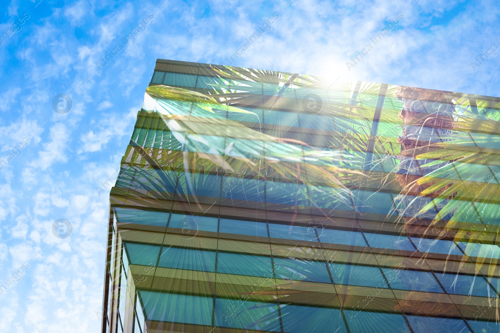 Image of Environment preservation. Double exposure of modern building and tropical leaves blue sky, low angle view