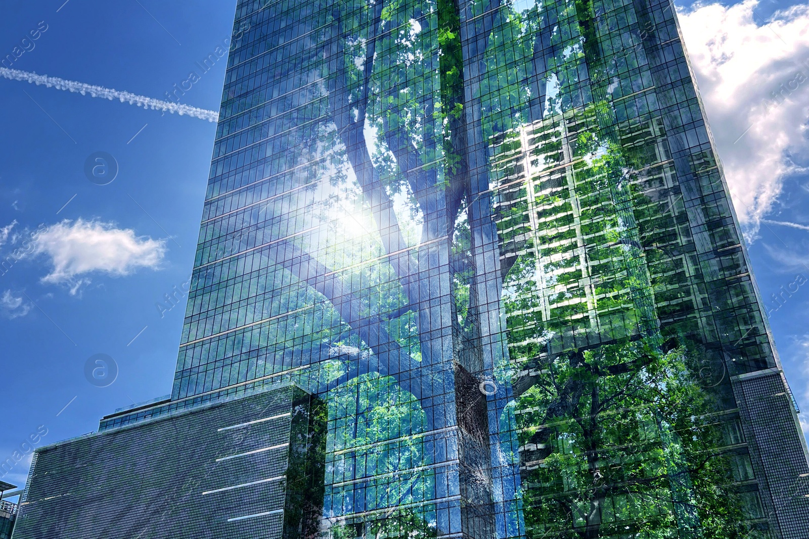 Image of Environment preservation. Double exposure of modern building and tree against blue sky, low angle view