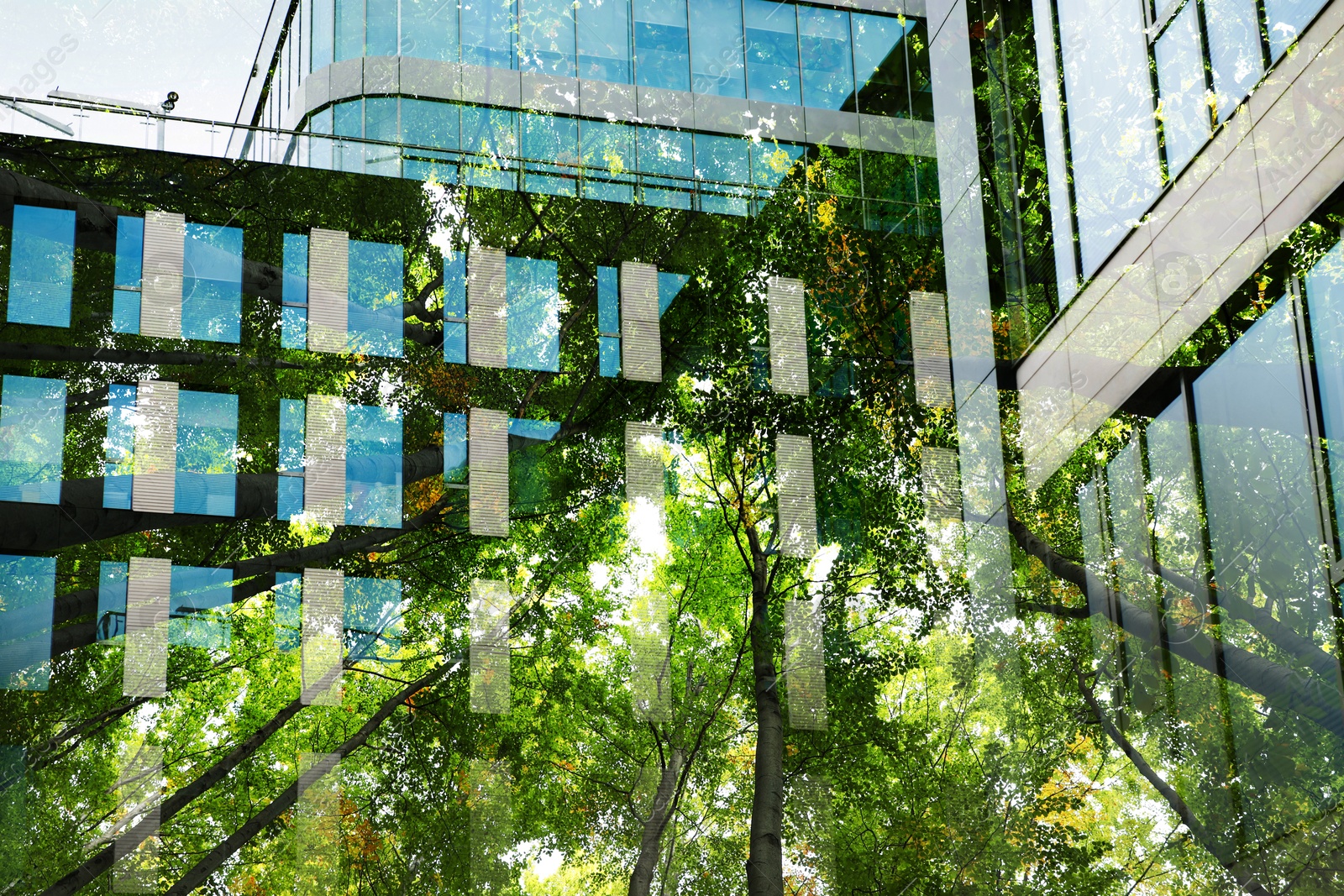 Image of Environment preservation. Modern buildings and trees, double exposure