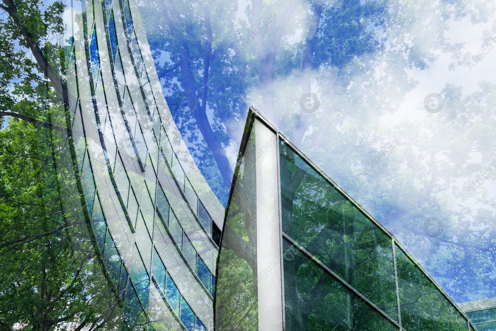 Image of Environment preservation. Double exposure of modern buildings and tree against blue sky, low angle view