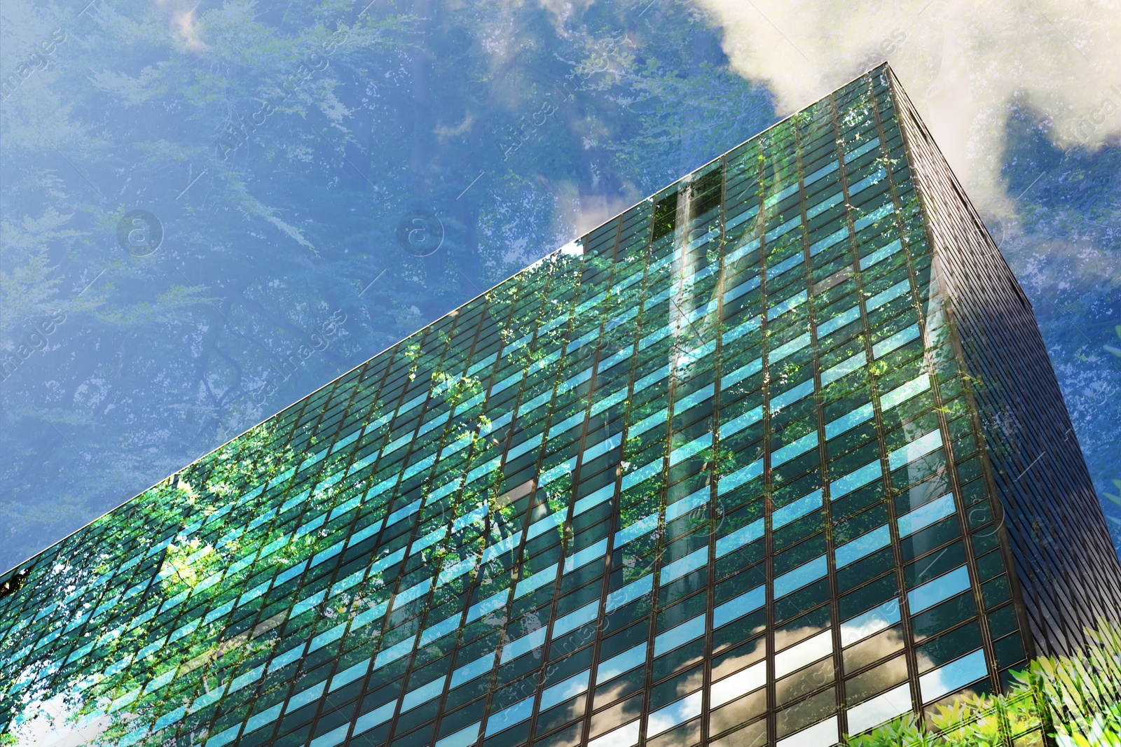 Image of Environment preservation. Double exposure of modern building and tree against blue sky, low angle view