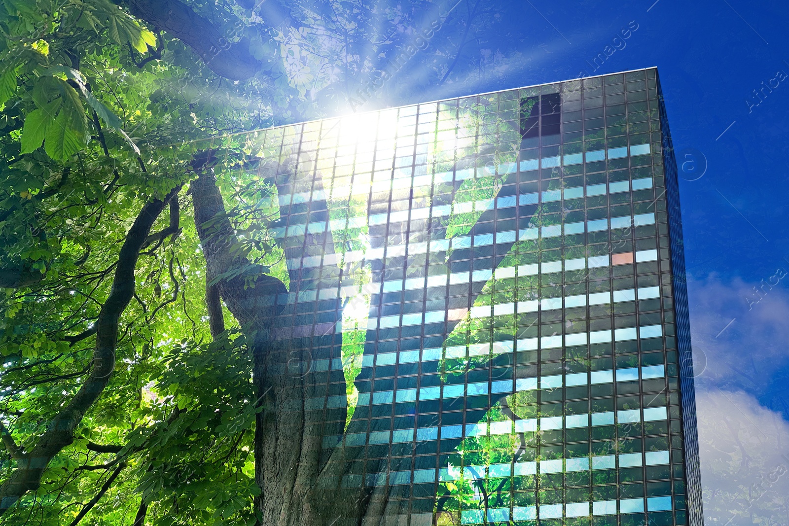 Image of Environment preservation. Double exposure of modern building and tree against blue sky, low angle view