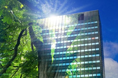 Image of Environment preservation. Double exposure of modern building and tree against blue sky, low angle view