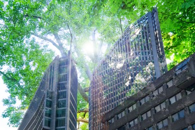 Image of Environment preservation. Double exposure of modern buildings and tree, low angle view