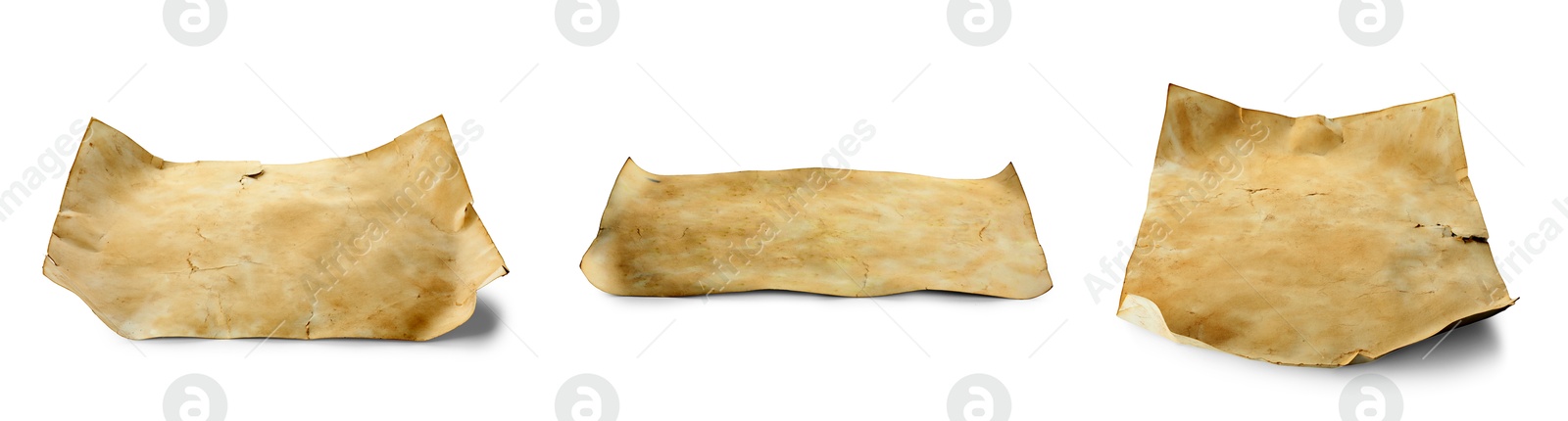 Image of Sheet of old parchment paper isolated on white, collage