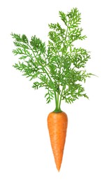 Image of Fresh ripe carrot with green leaves isolated on white