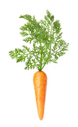 Image of Fresh ripe carrot with green leaves isolated on white